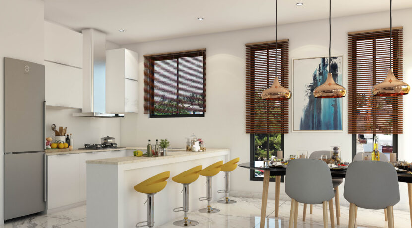 13. Kitchen&Dining Option_01